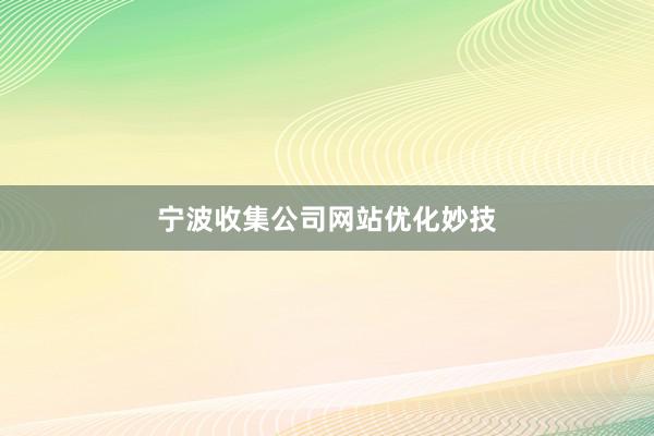 宁波收集公司网站优化妙技