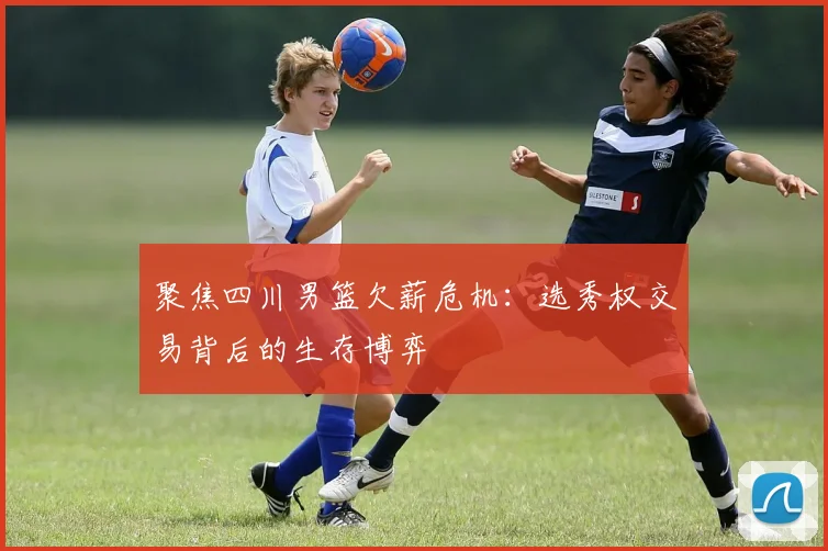 聚焦四川男篮欠薪危机：选秀权交易背后的生存博弈