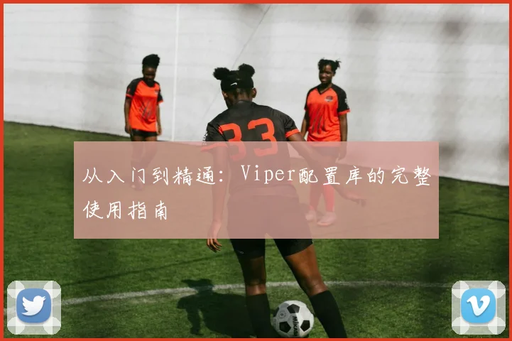 从入门到精通：Viper配置库的完整使用指南
