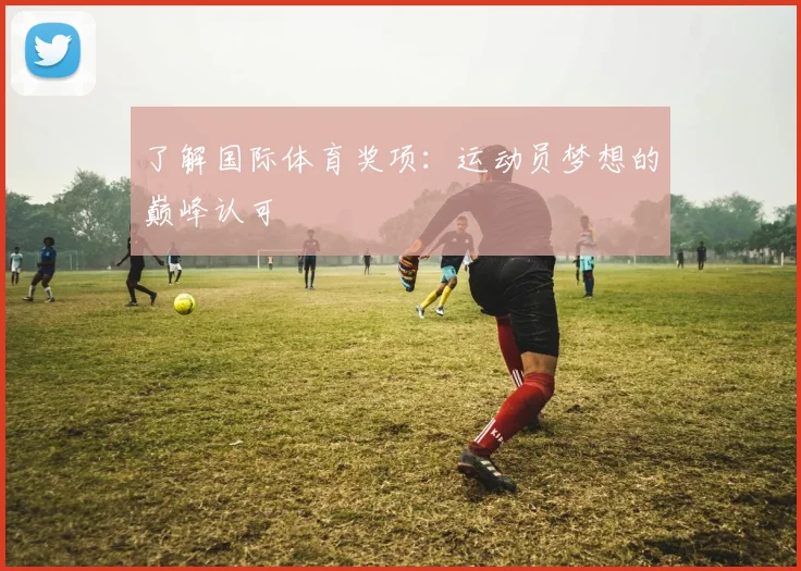 了解国际体育奖项：运动员梦想的巅峰认可